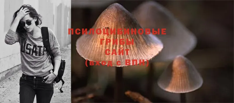 Галлюциногенные грибы Magic Shrooms  Ленинск 